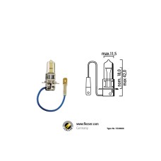 Flösser H3 PK22s 12V 55W Semi GOLD