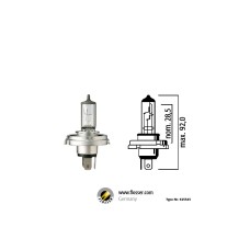 Flösser (H4)RA P45t 12V 60/55W